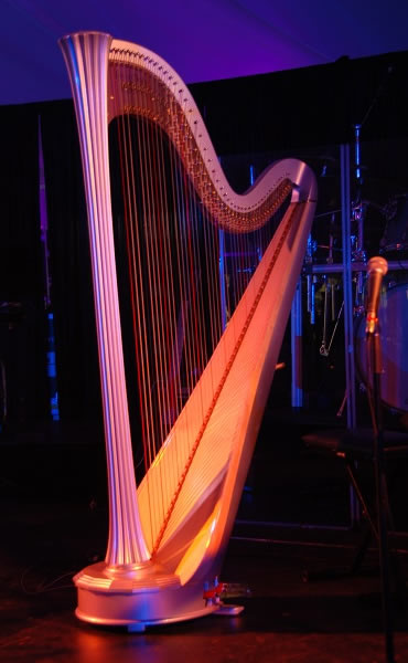 Electric harp