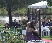 Wedding harpist