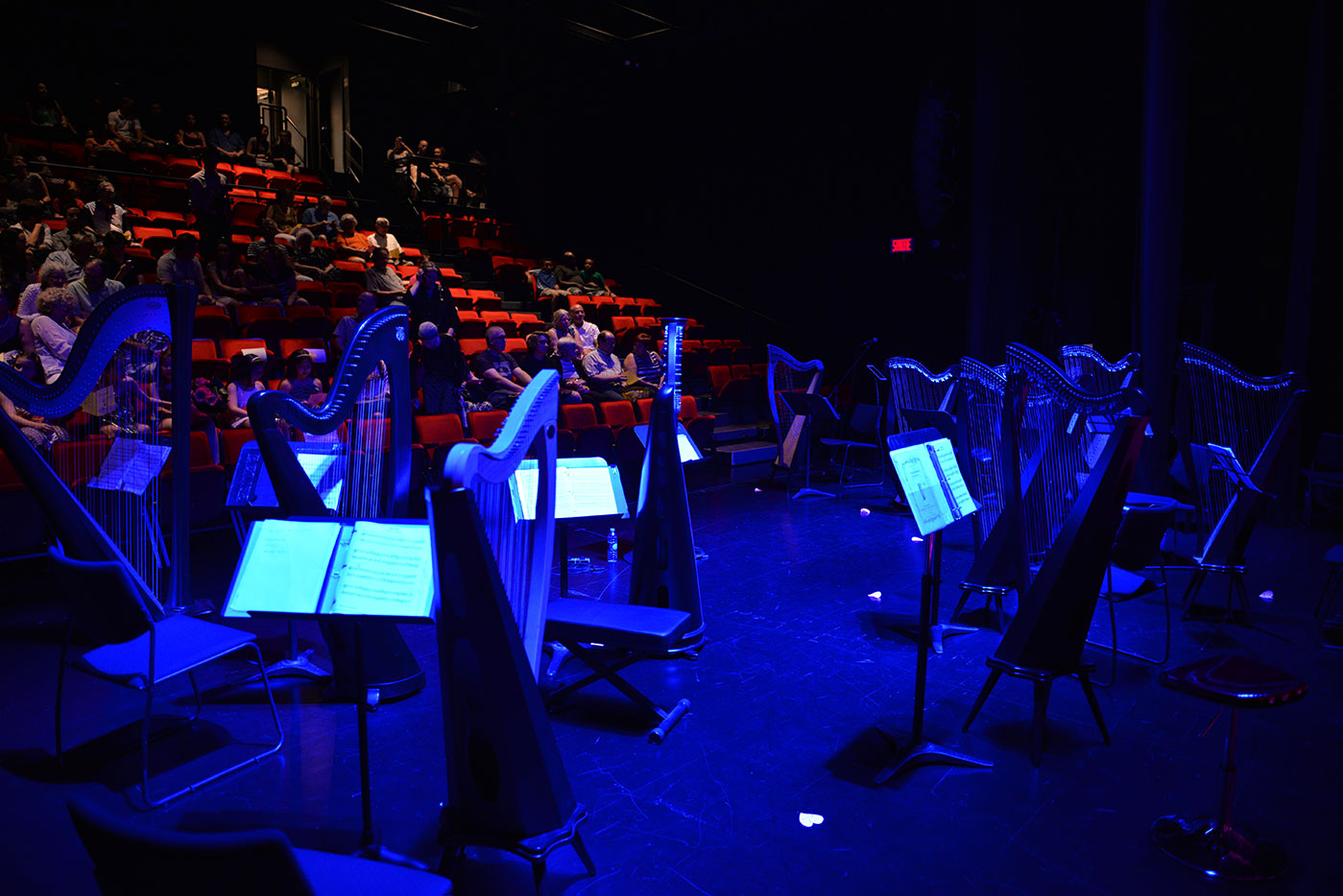 Harp concert