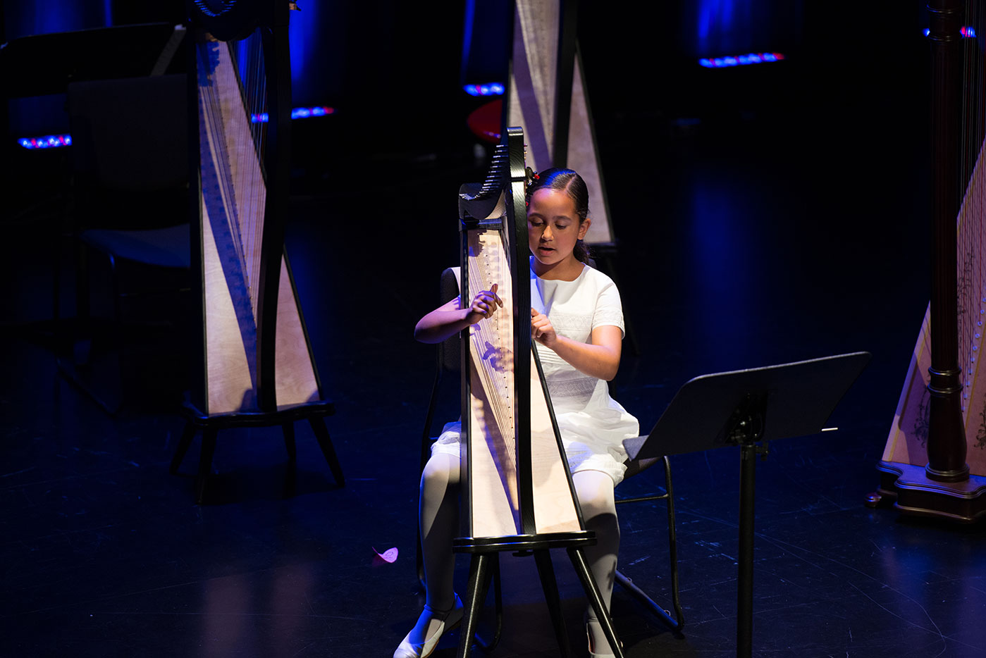 Harp concert