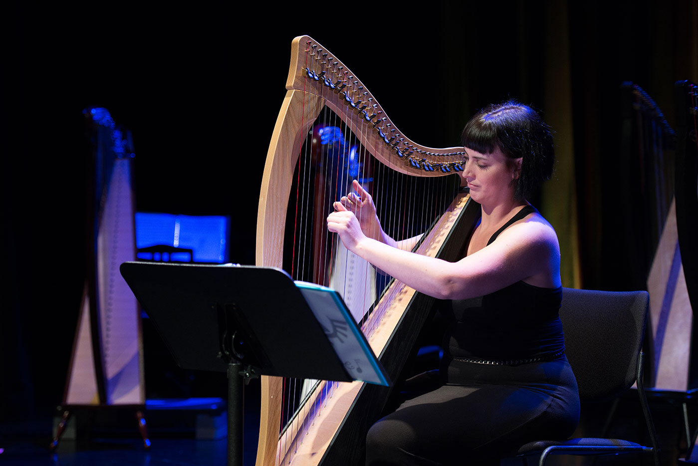 Harp concert