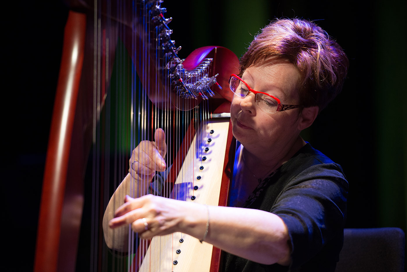 Harp concert