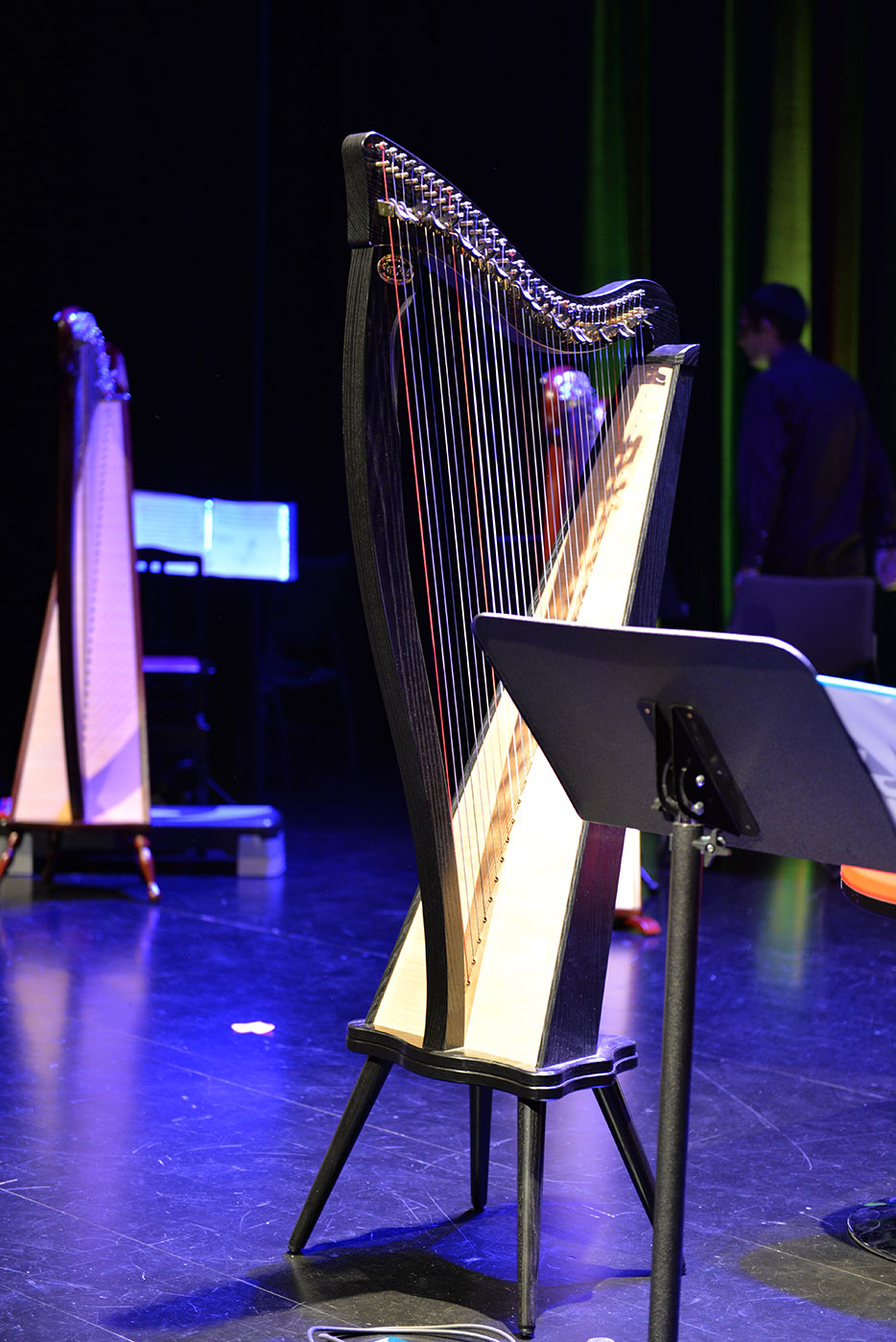 Harp concert