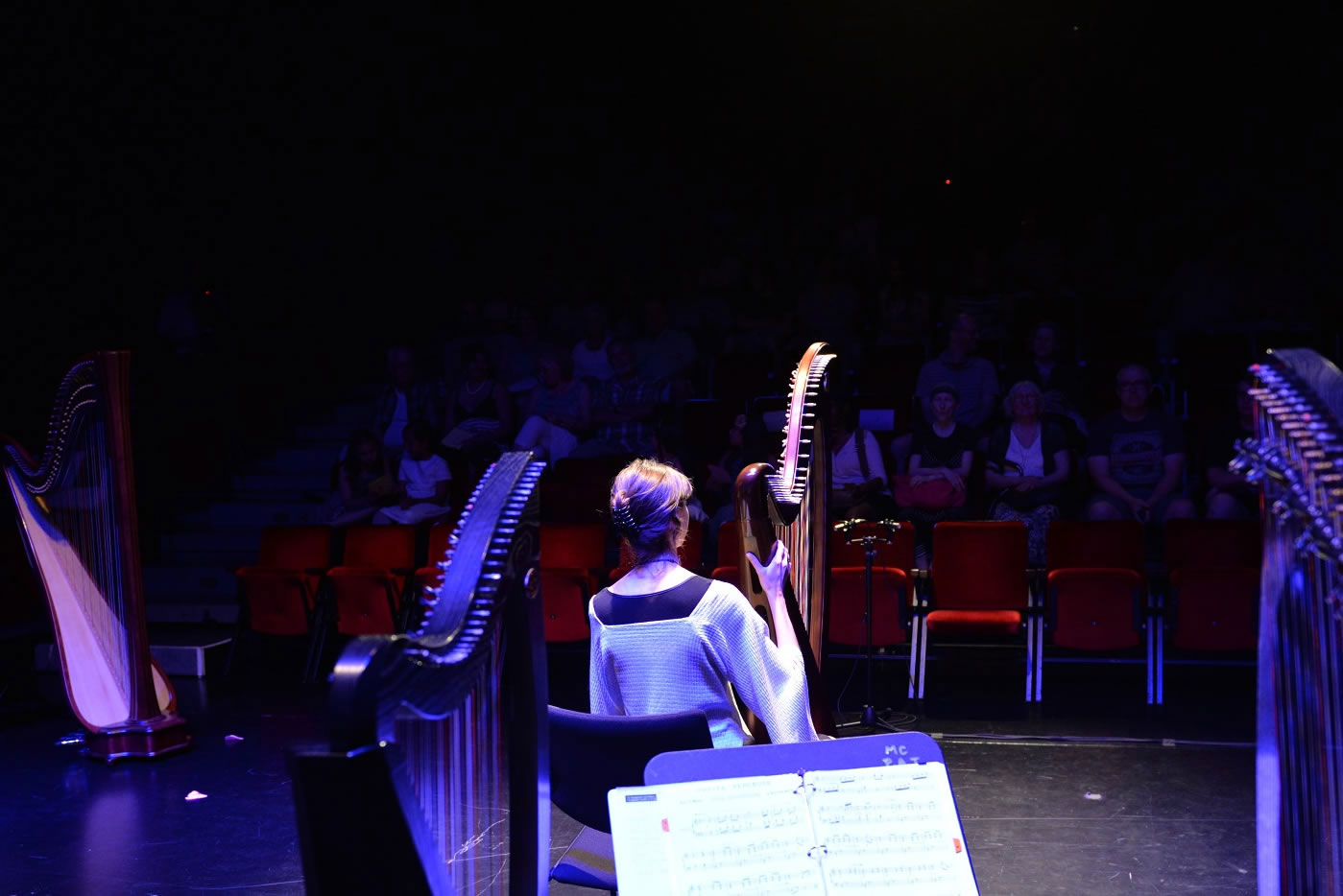 Harp concert