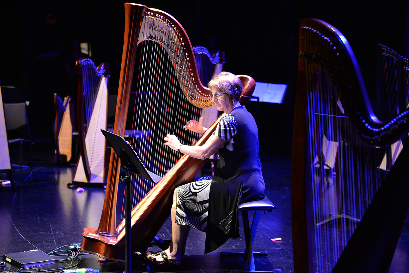 Harp concert