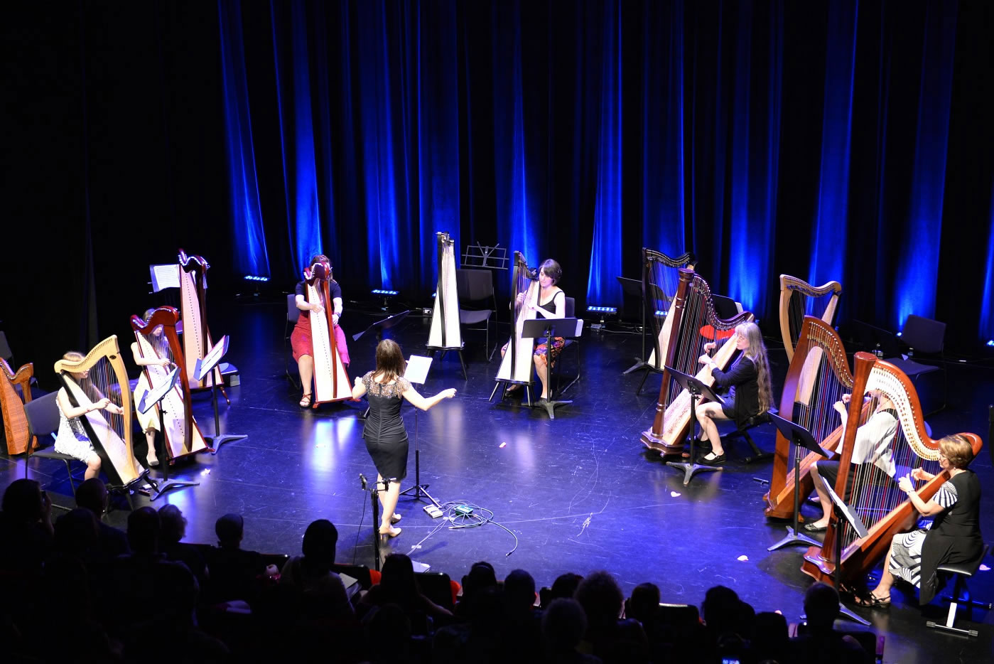 Harp concert