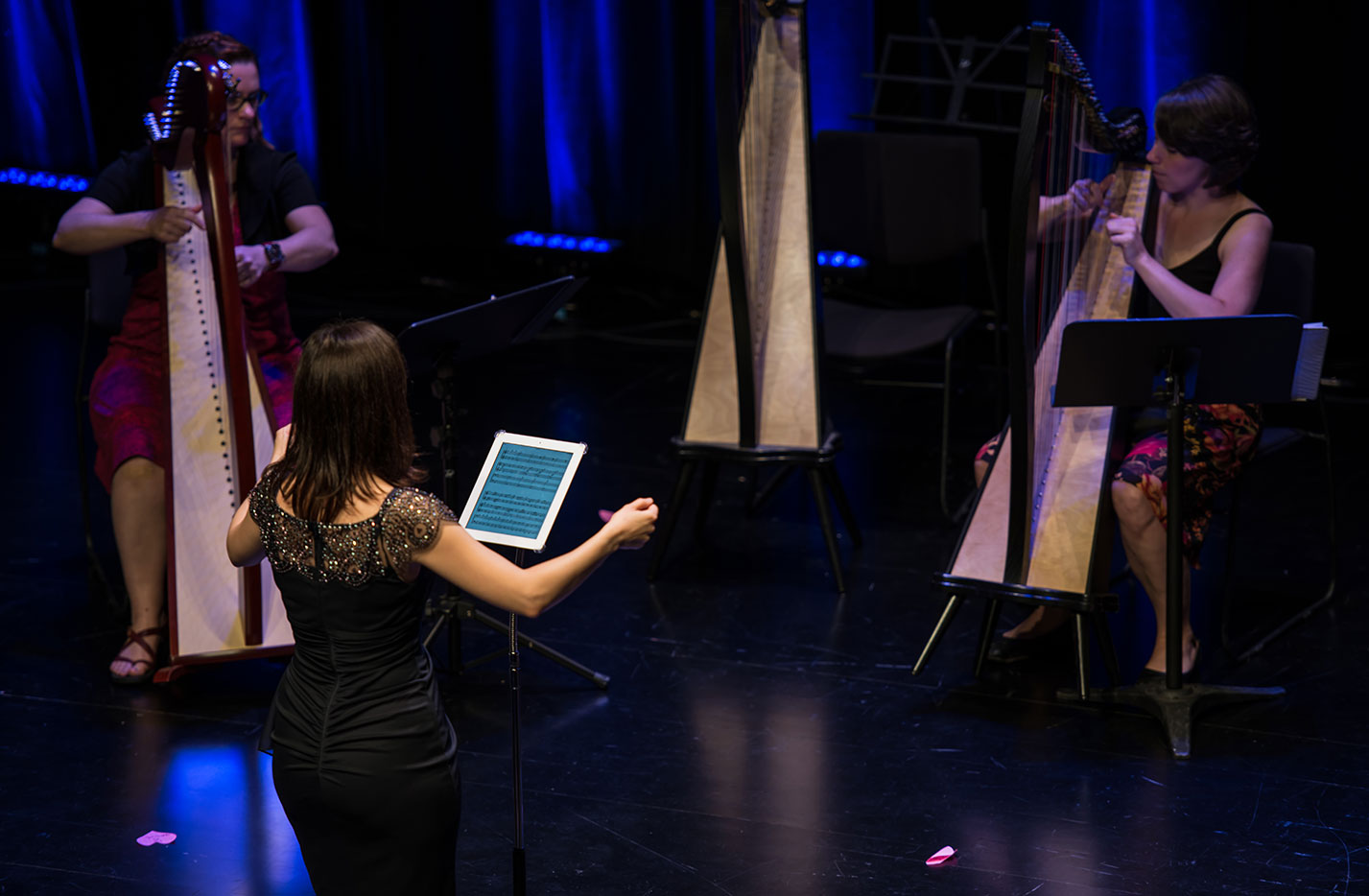 Harp concert