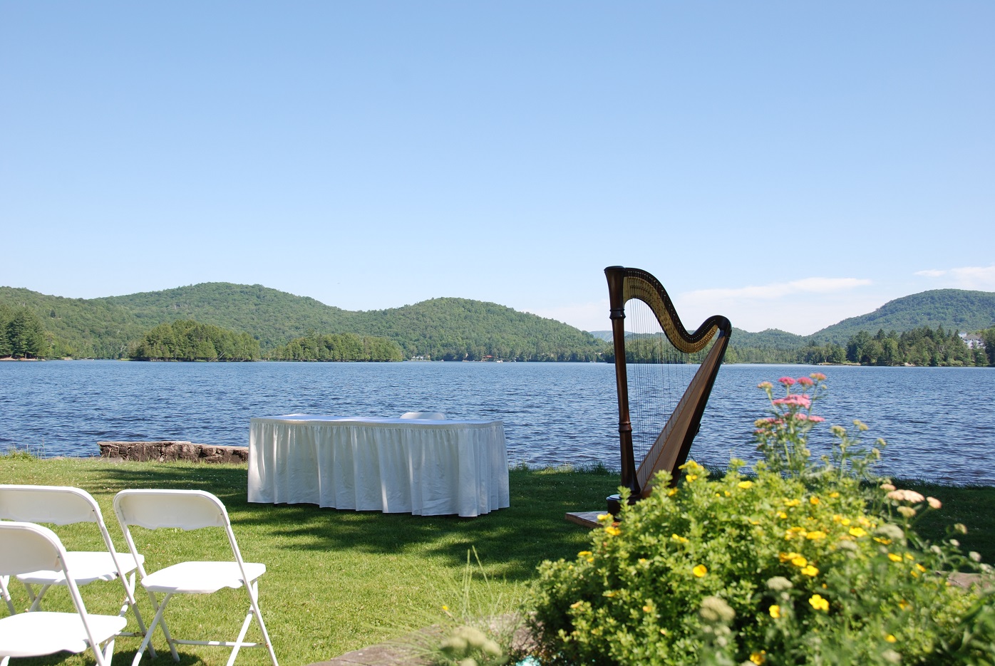 Harpe mariage