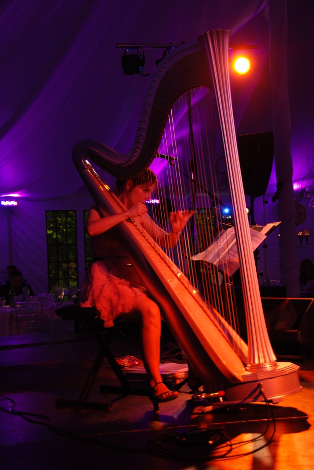 Electric harp