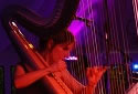 Electric harp