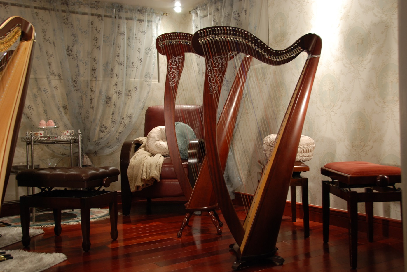 Camac harps