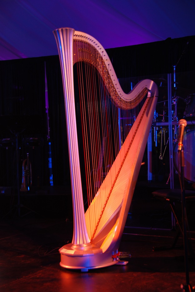 Electric harp