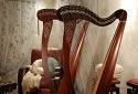 Camac harps