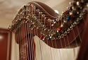 Camac harp